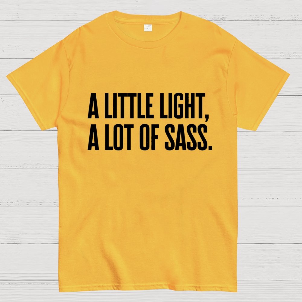 A Little Light, A Lot Of Sass. Geek T-Shirt