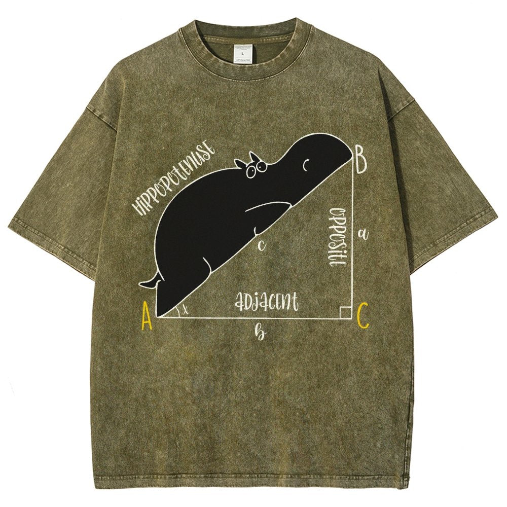 Interesting Math Teacher Math Lover Math Geek Vintage Distressed T-shirt