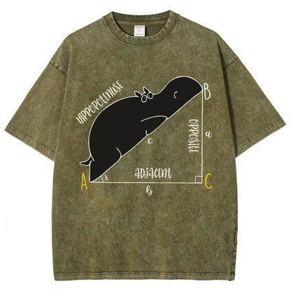 Interesting Math Teacher Math Lover Math Geek Vintage Distressed T-shirt