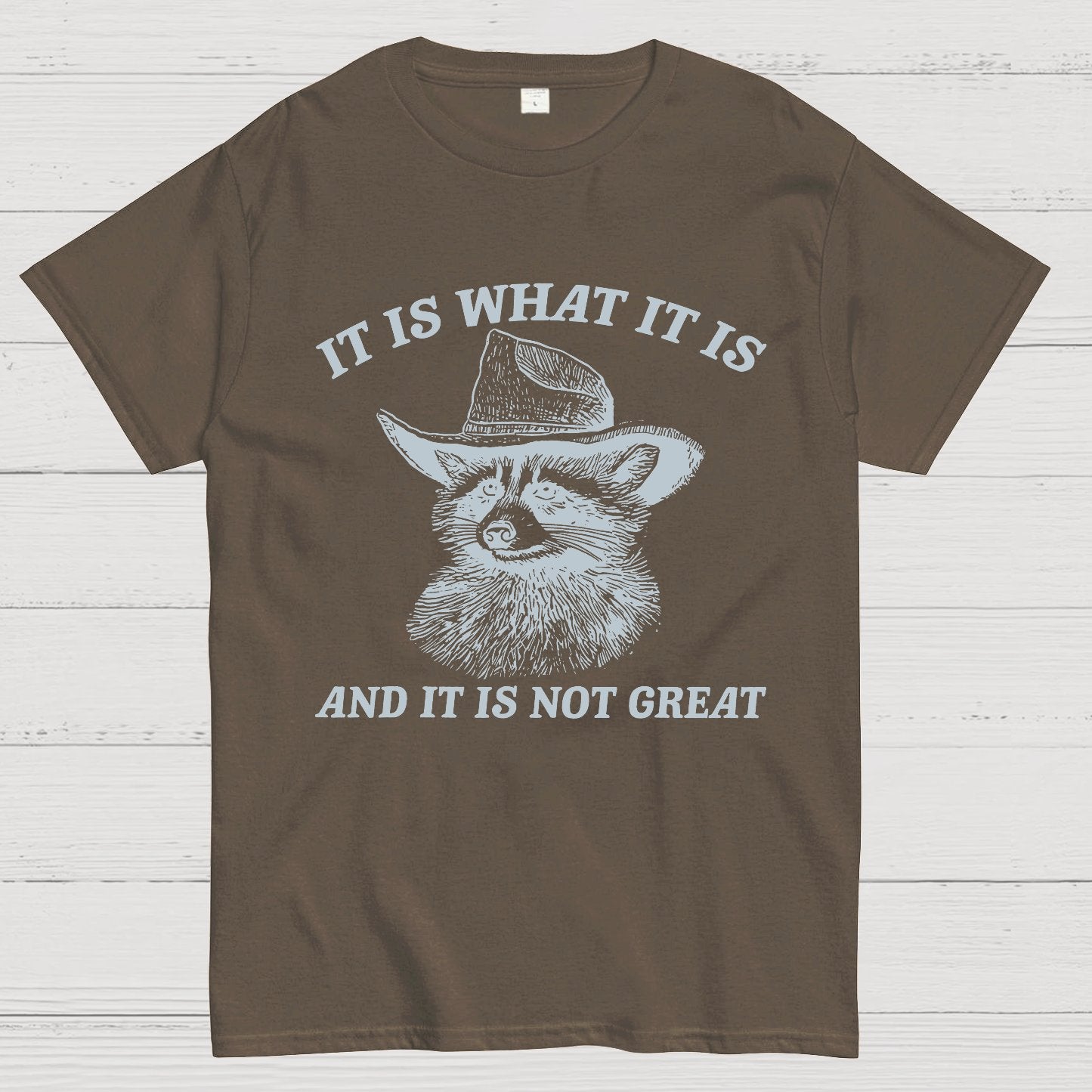 t Is What It Is And It Is Not Great Vintage Raccoon Geeky T-Shirt