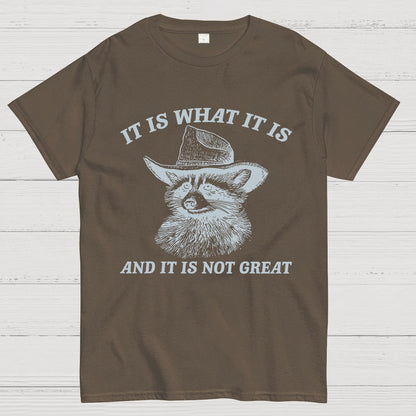 t Is What It Is And It Is Not Great Vintage Raccoon Geeky T-Shirt