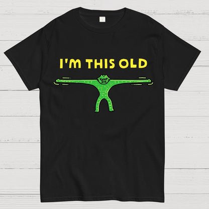 Old As Stretch Geek T-Shirt