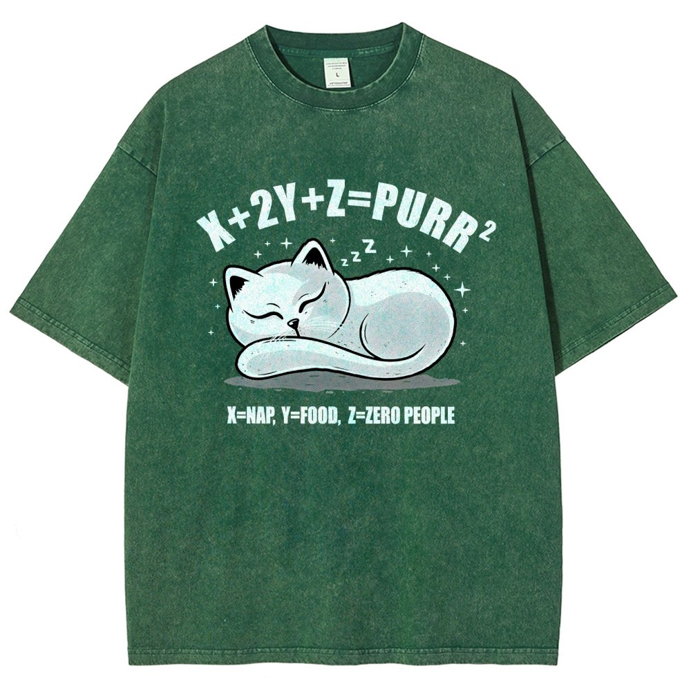 Purrfect Equation Vintage Distressed T-shirt