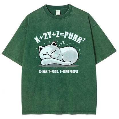 Purrfect Equation Vintage Distressed T-shirt