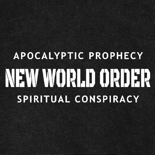 New World Order Spiritual Conspiracy Vintage Distressed Hoodie