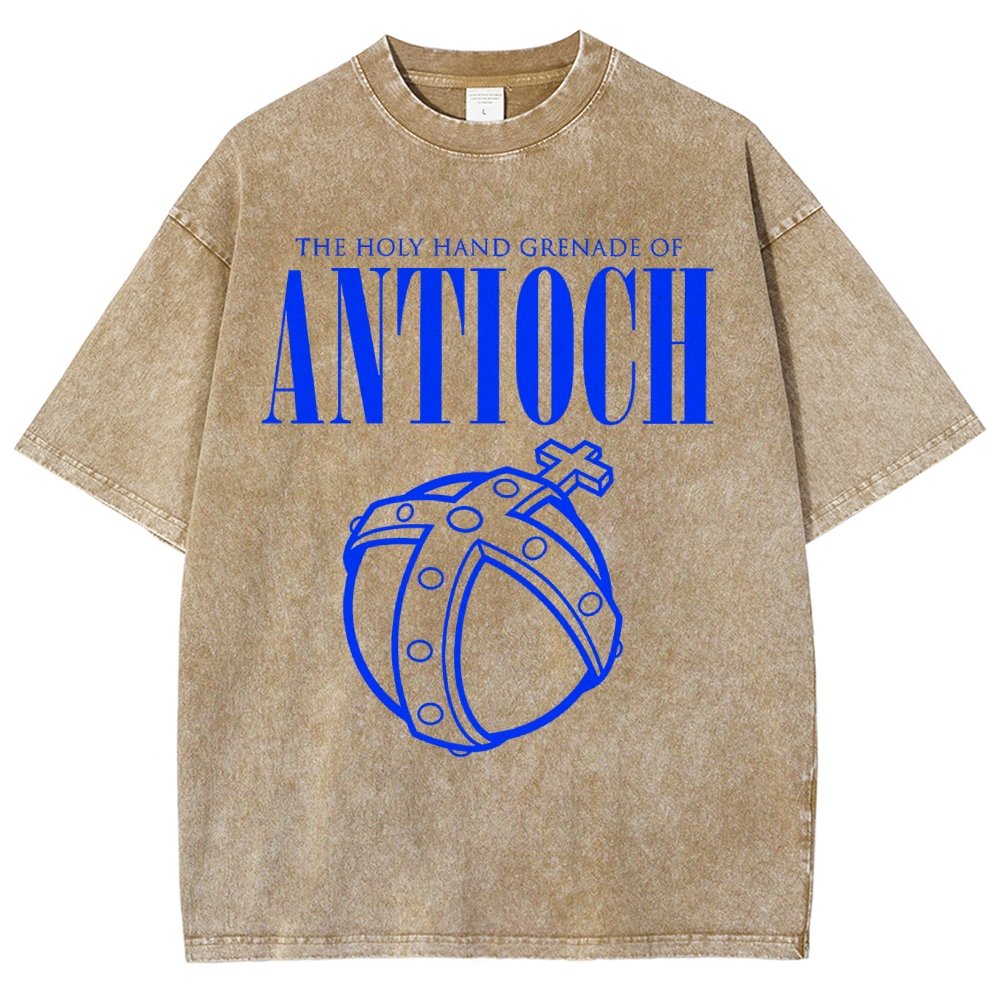 The Holy Hand Grenade of an Ancient Place Vintage Distressed T-shirt