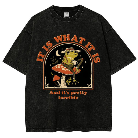 It Is What It Is And It's Pretty Terrible Vintage Distressed T-shirt