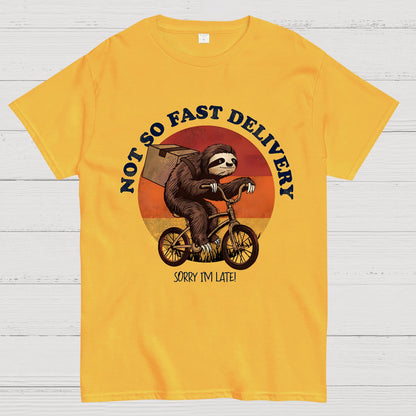 Not So Express Delivery Geek T-Shirt