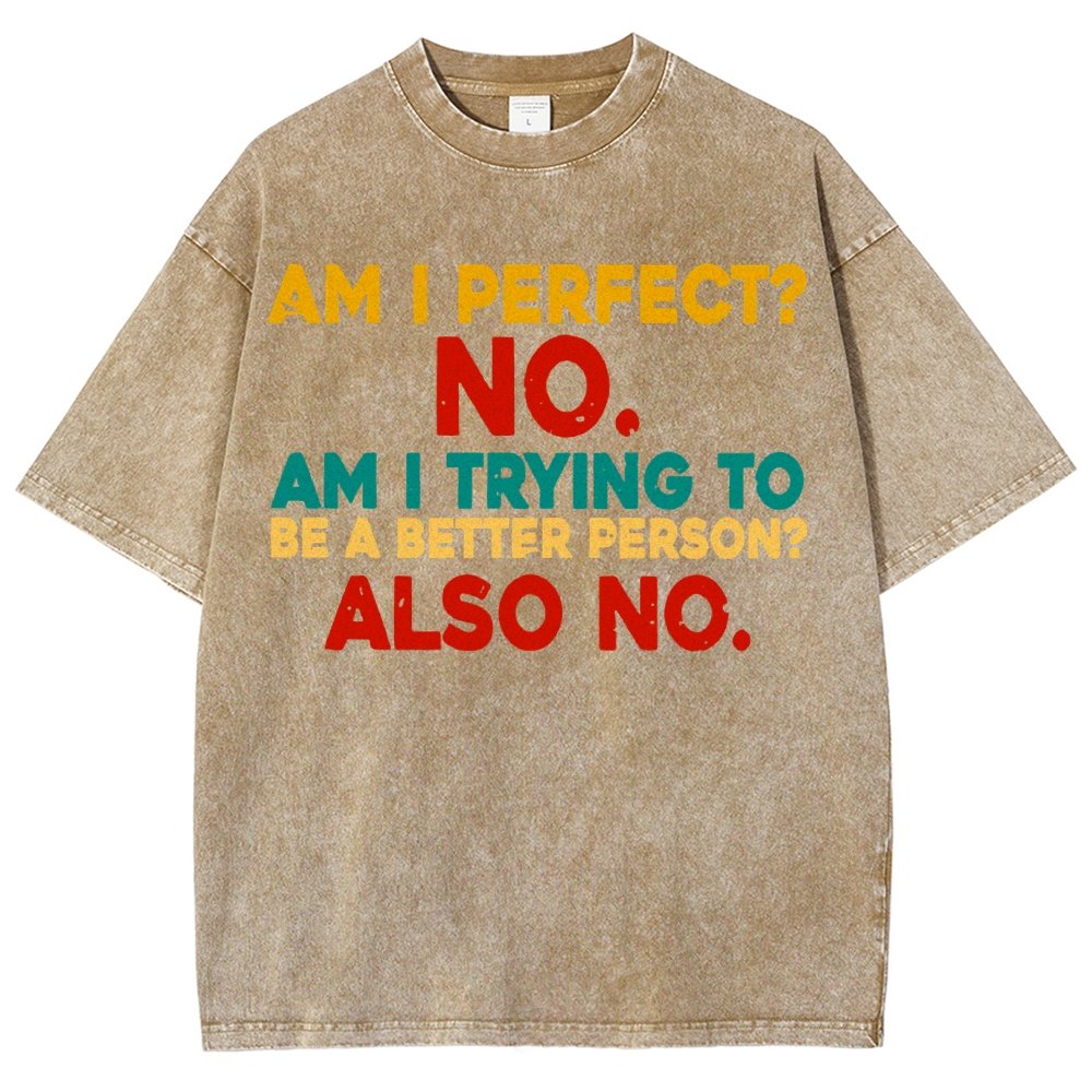 Am I Perfect No Am I Trying To Be A Better Person Also No Funny Quote Vintage Distressed T-shirt