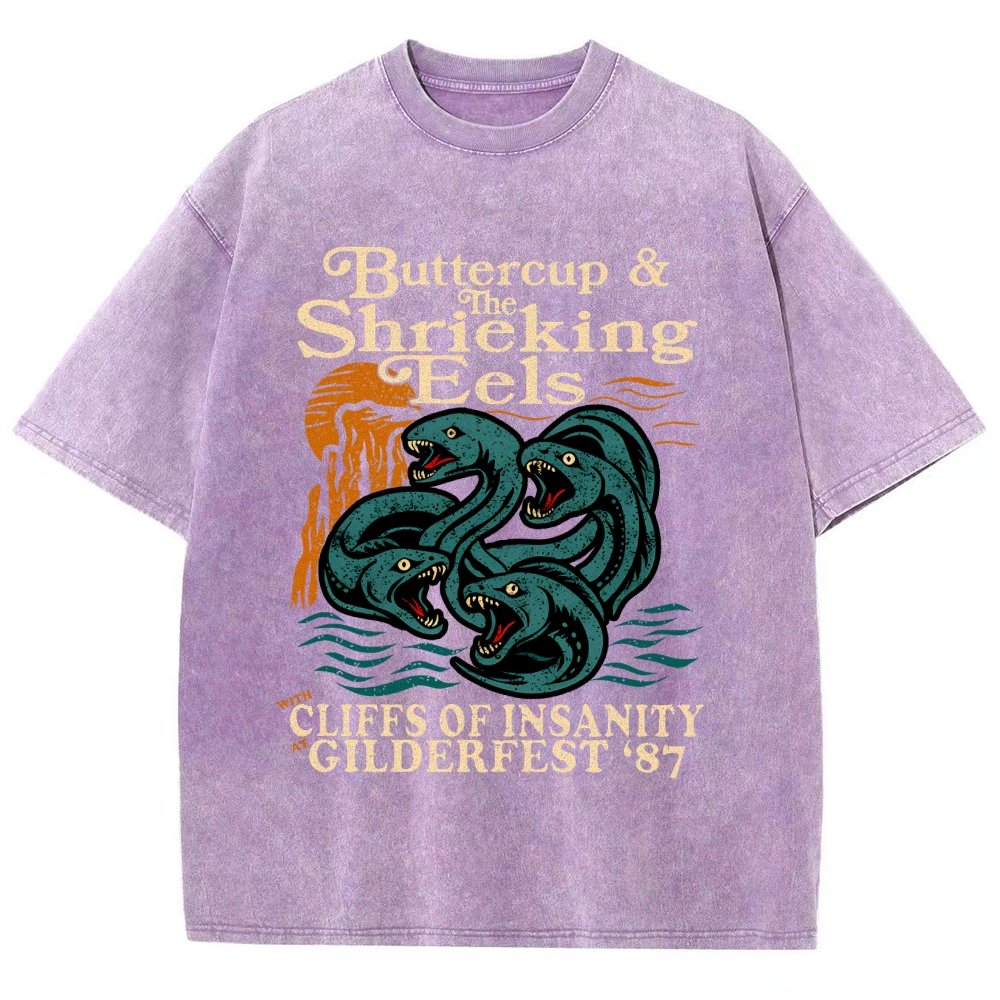 Buttercup & the Shrieking Eels at Harmonyfest Vintage Distressed T-shirt