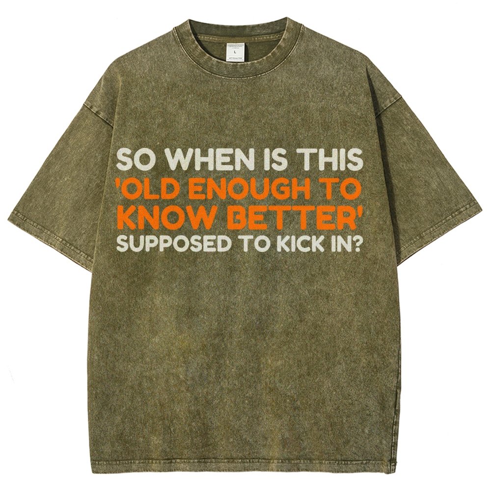 Old Enough To Know Better Vintage Distressed T-shirt