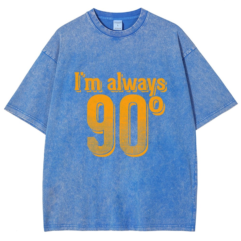 I'm Always Right Math Vintage Distressed T-shirt