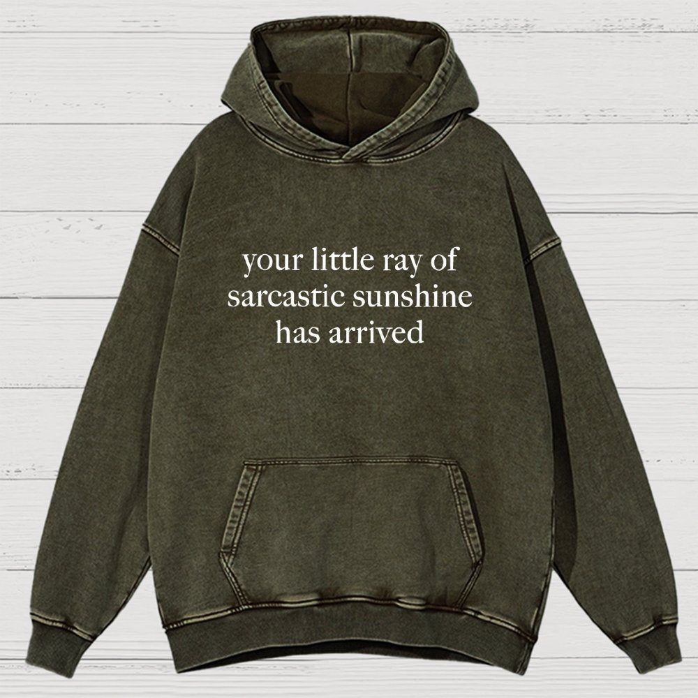 Your Little Ray of Sarcastic Sunshine Has Arrived -3 Vintage Distressed Hoodie