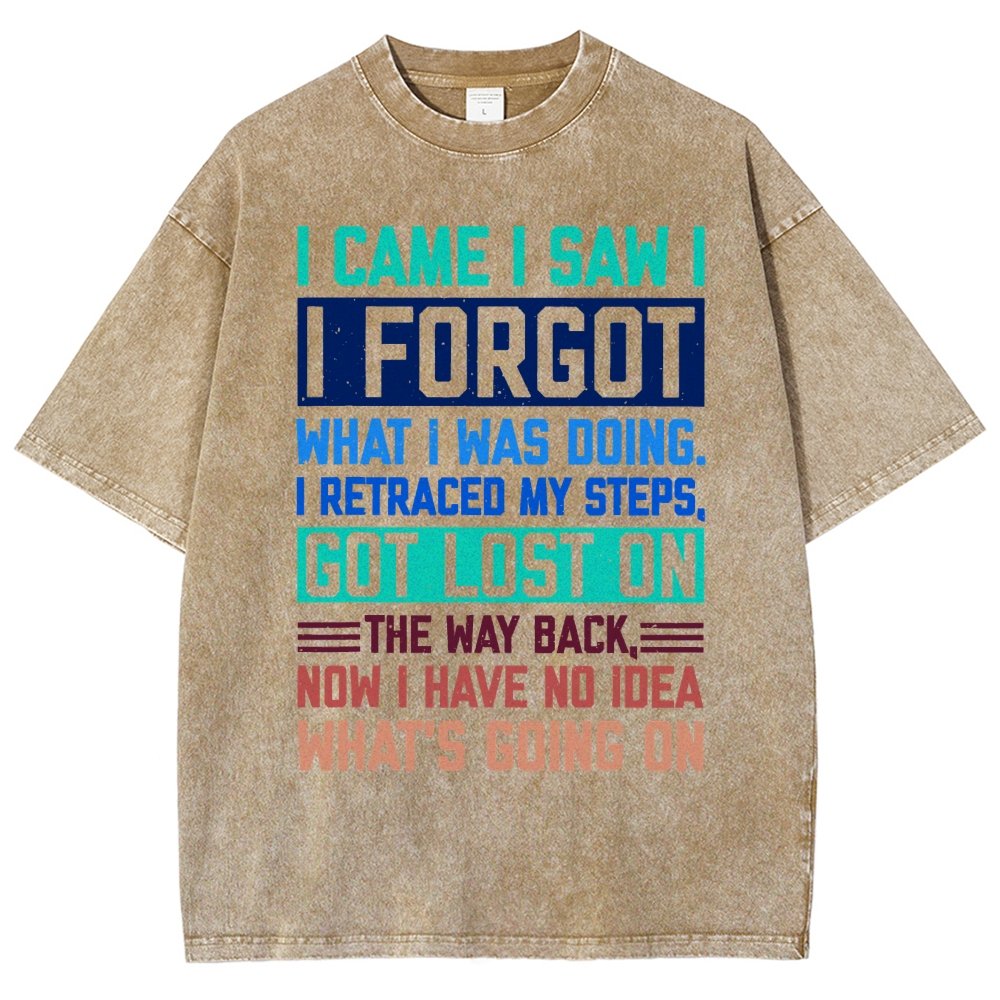 I Came I Saw I Forgot What I Was Doing Sarcastic Vintage Distressed T-shirt