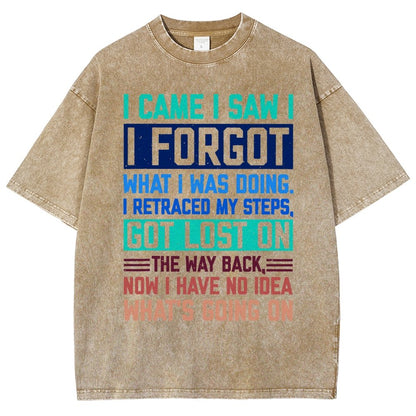 I Came I Saw I Forgot What I Was Doing Sarcastic Vintage Distressed T-shirt