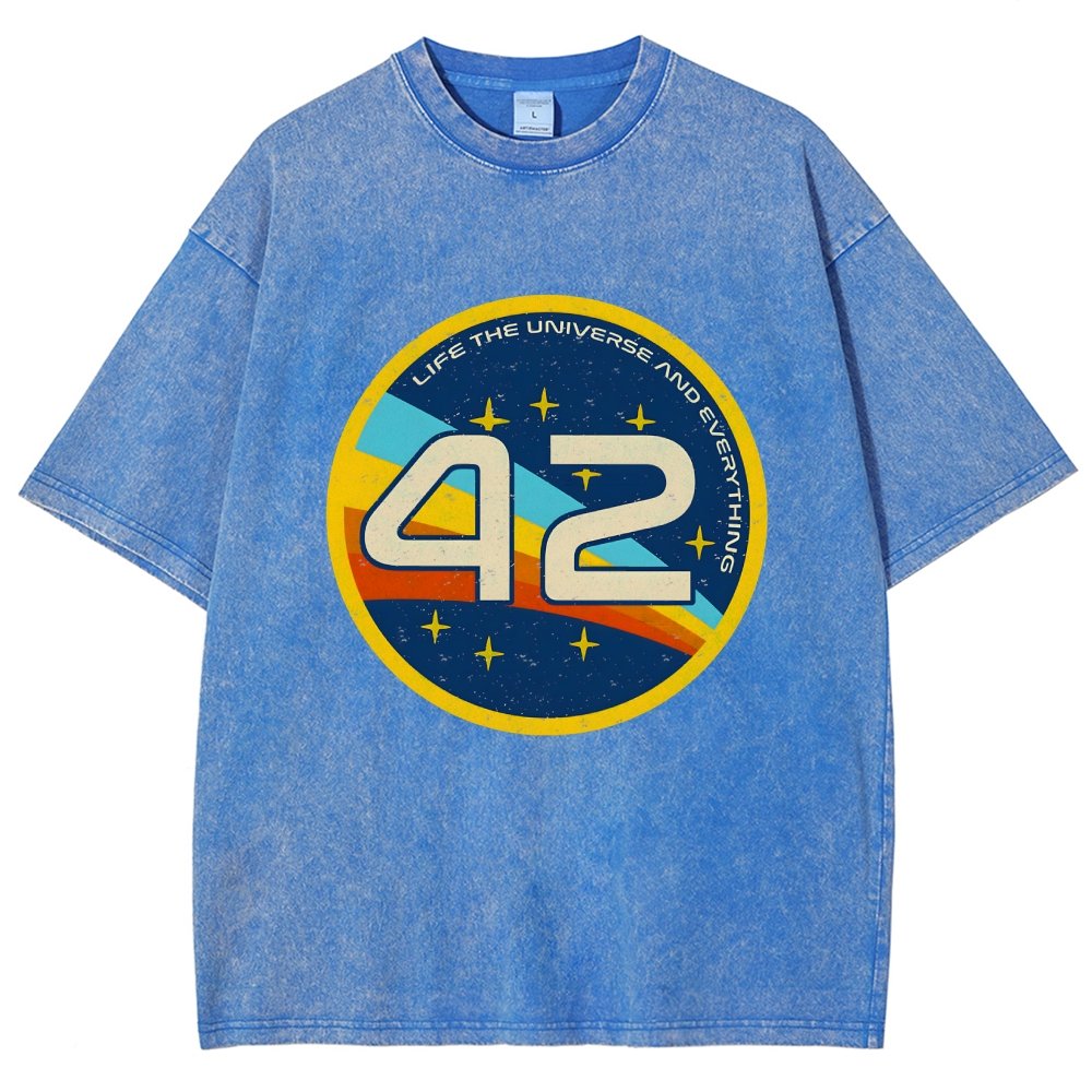 42 The Answer Of Everything Vintage Distressed T-shirt