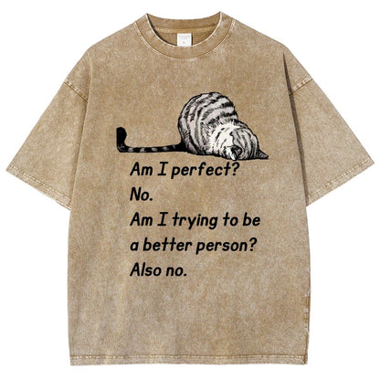 Am I Perfect No Vintage Distressed T-shirt
