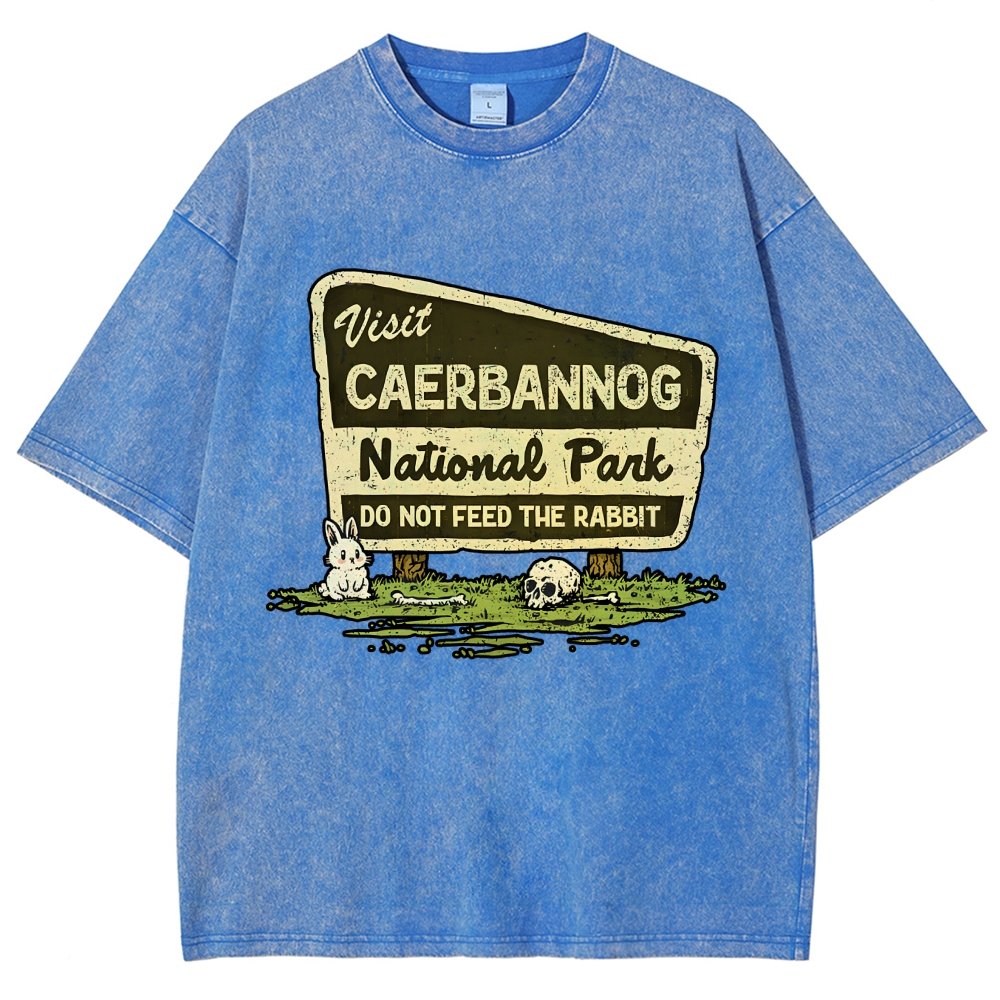 Mystic Valley National Park Vintage Distressed T-shirt