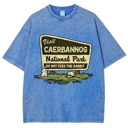 Mystic Valley National Park Vintage Distressed T-shirt
