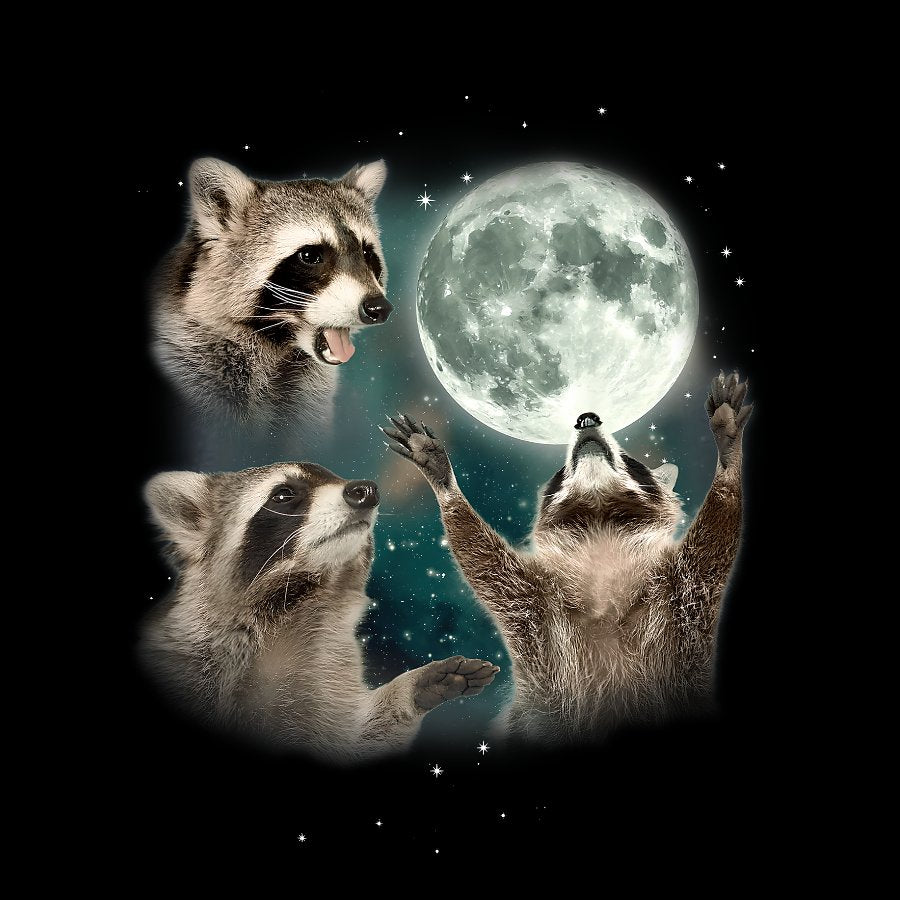 Three Raccoons Moon Vintage Distressed Washed Tank