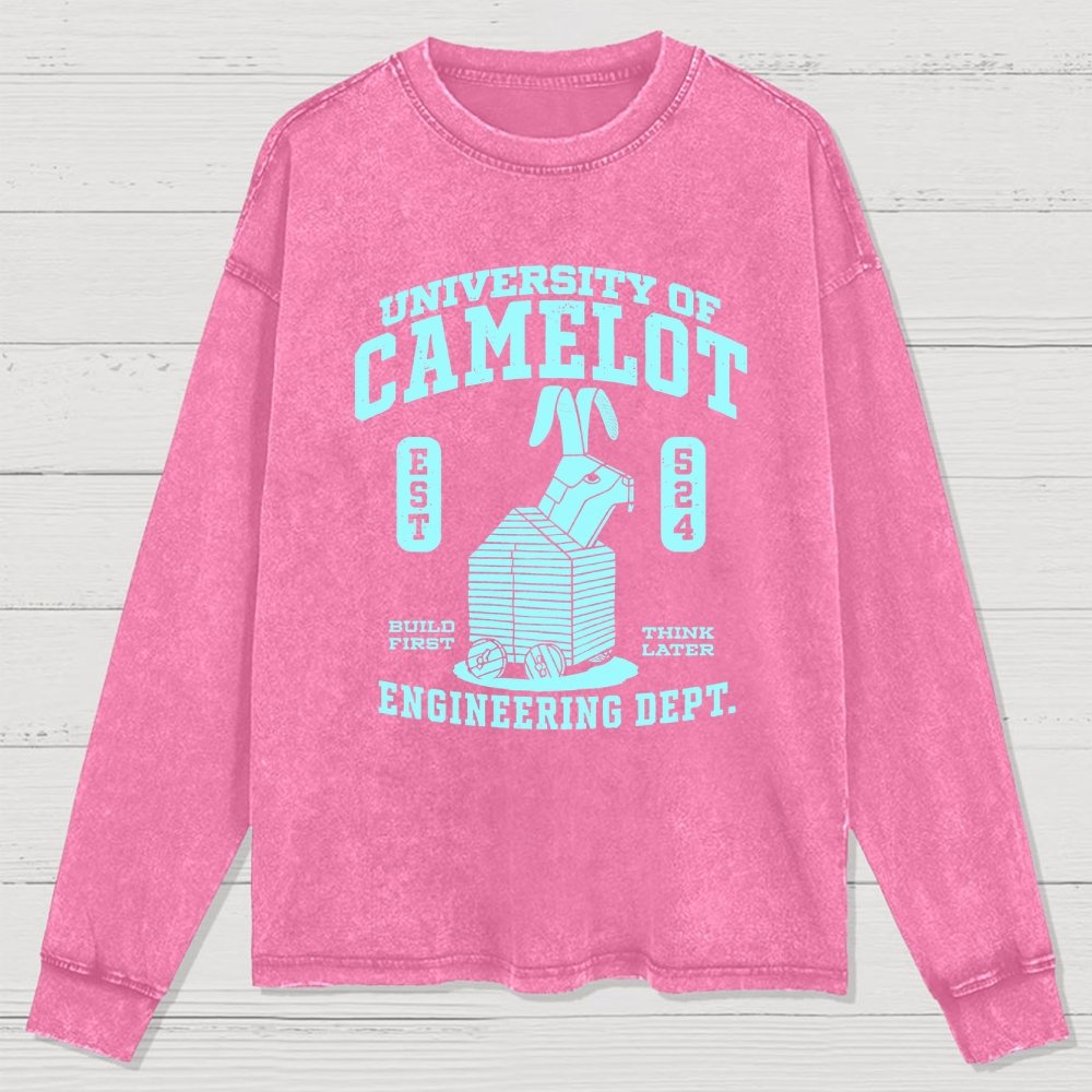 University of Nonsens Washed Long Sleeve Tee
