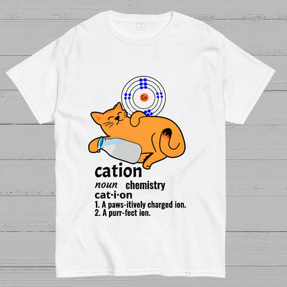 A Perfect Ion Nerdy T-Shirt