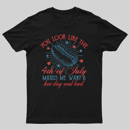 You Look Like the 4th of July Geeky T-Shirt