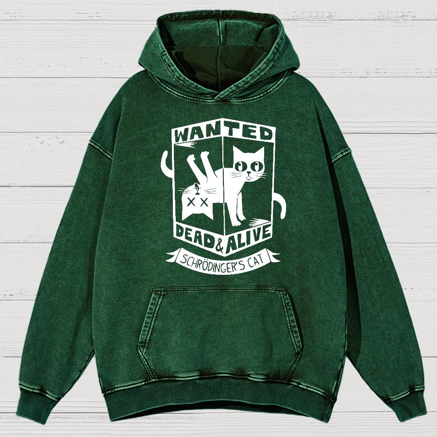 Schrödinger's Cat Mathe, Physics Vintage Distressed Hoodie