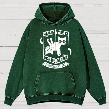 Schrödinger's Cat Mathe, Physics Vintage Distressed Hoodie