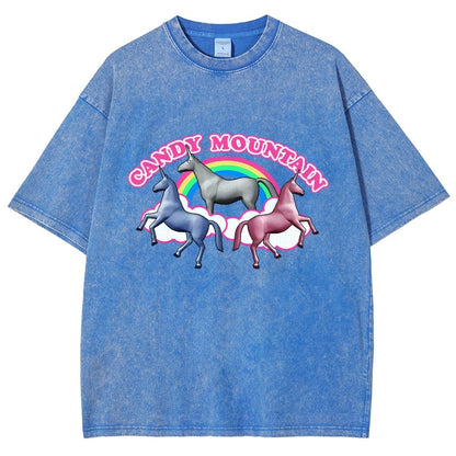 Candy Mountain Vintage Distressed T-shirt