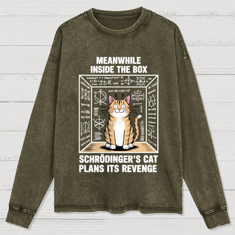 Schrodinger's Cat Escape Plan Washed Long Sleeve Tee