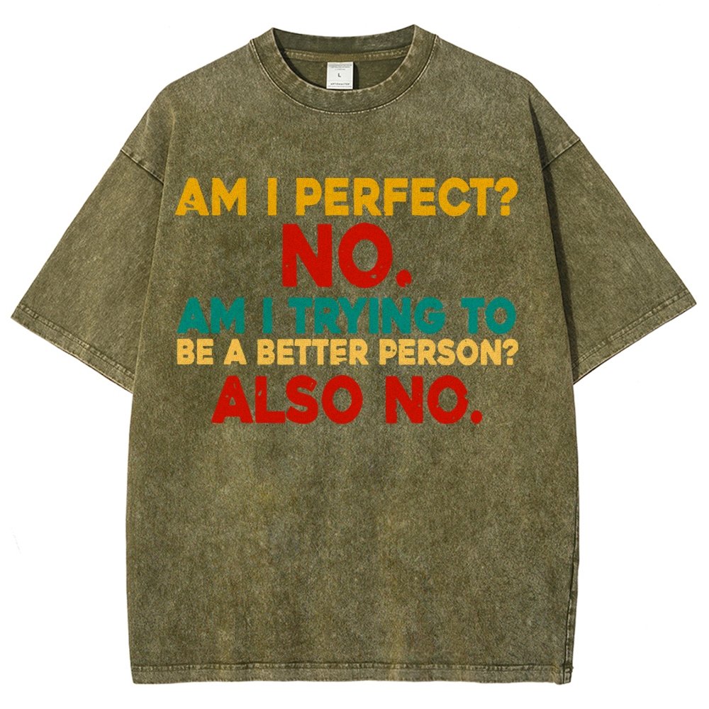 Am I Perfect No Am I Trying To Be A Better Person Also No Funny Quote Vintage Distressed T-shirt