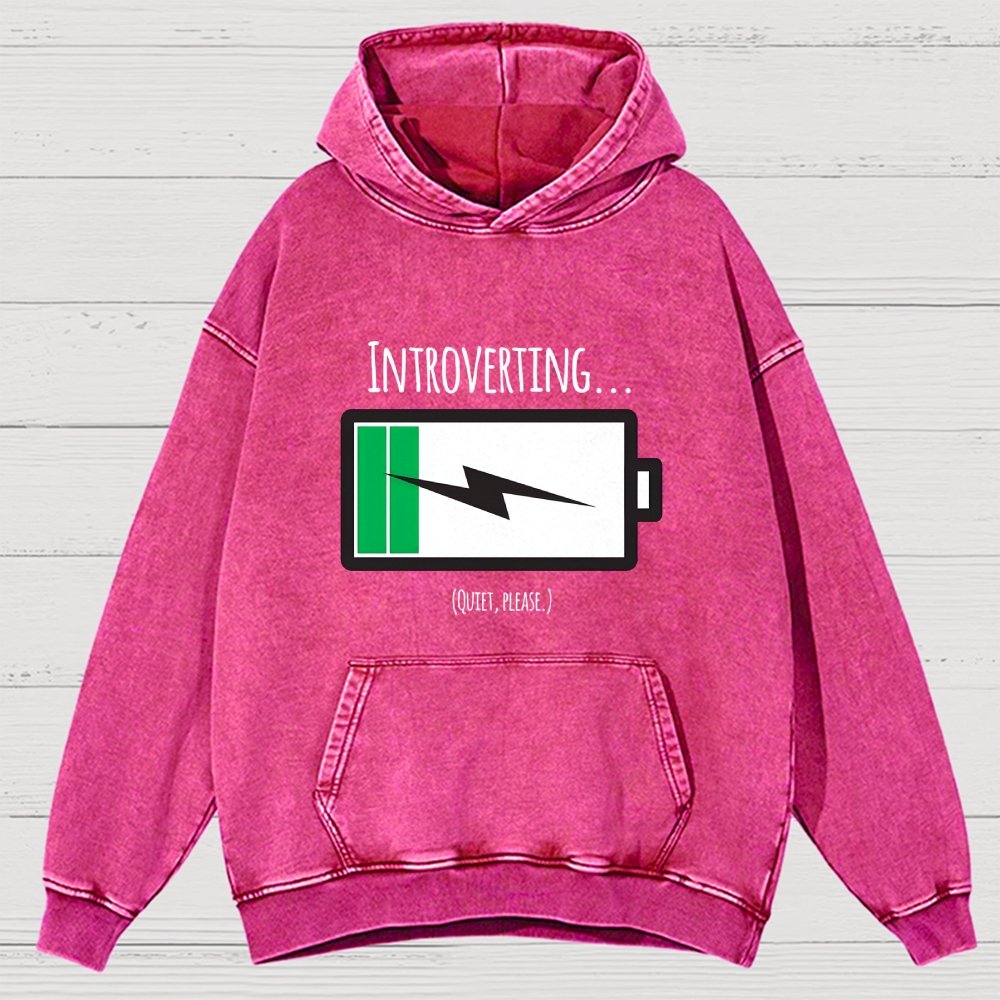 Introverting Vintage Distressed Hoodie