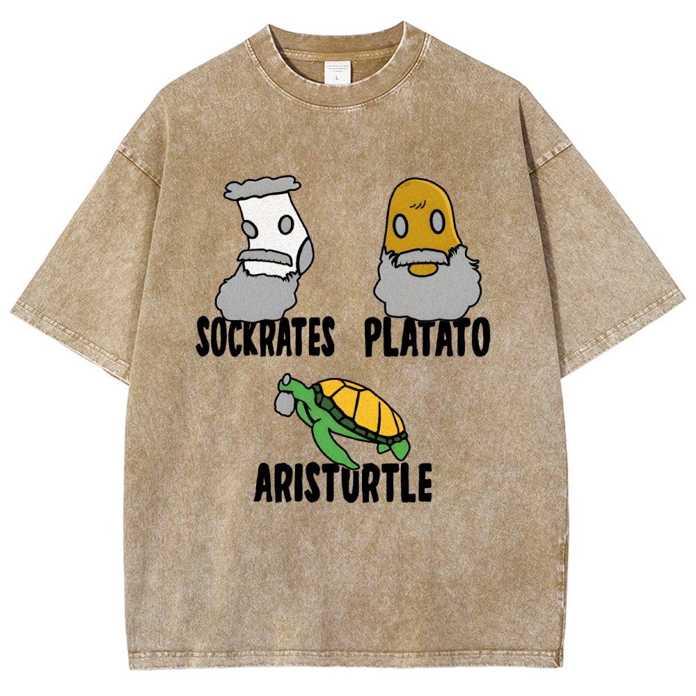 Sockrates Platato Aristurtle Vintage Distressed T-shirt