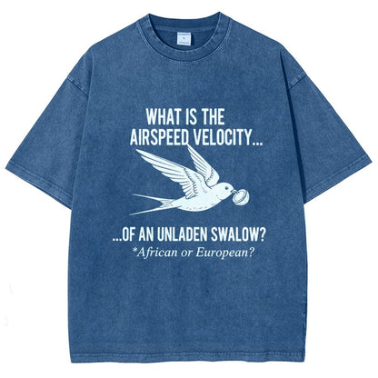 What Is The Airspeed Velocity...Art Print Vintage Distressed T-shirt
