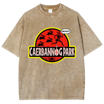 Greenwood Park Vintage Distressed T-shirt