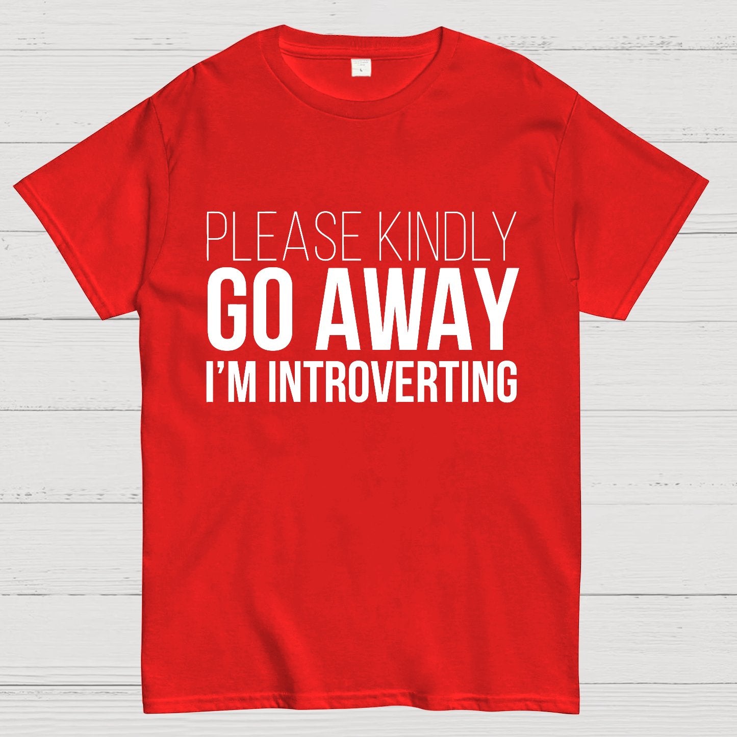 Please Kindly Go Away - I'm Introverting Geek T-Shirt