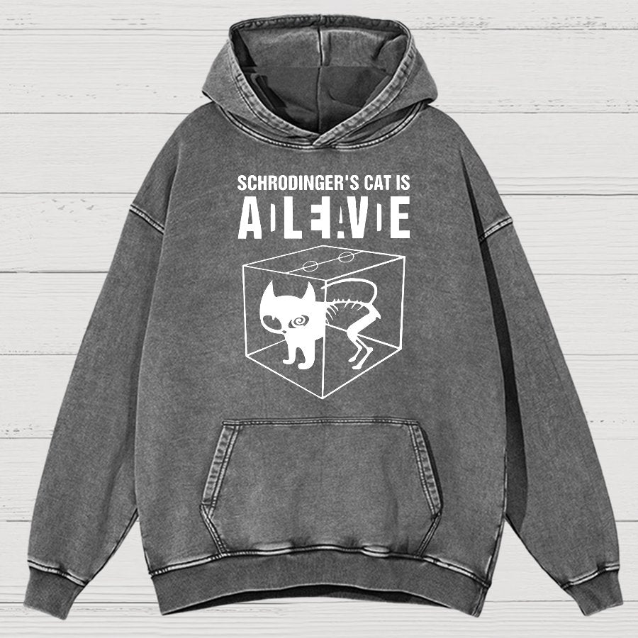 Schrodinger's Cat Vintage Distressed Hoodie