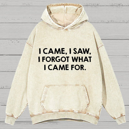 I Came and Saw Funny  Vintage Distressed Hoodie