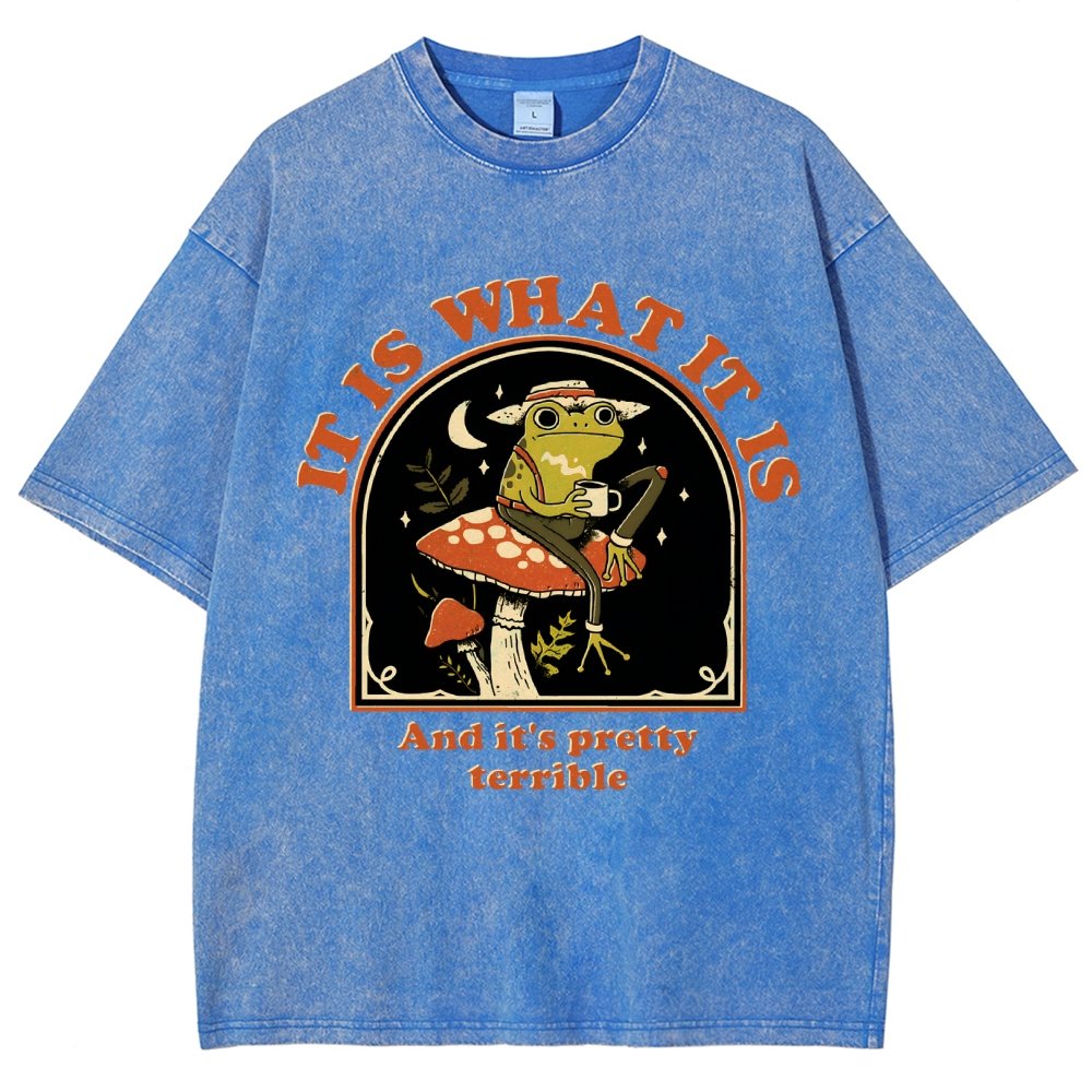It Is What It Is And It's Pretty Terrible Vintage Distressed T-shirt