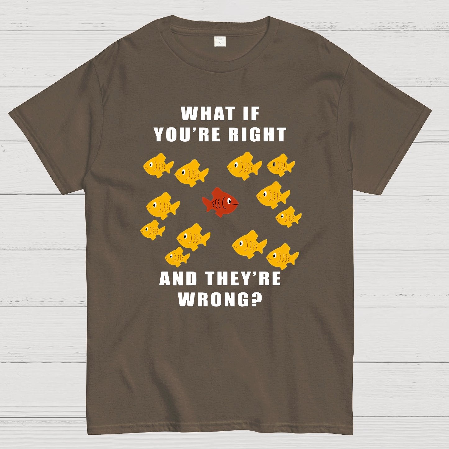 What If You're Right And They're Wrong Geeky T-Shirt