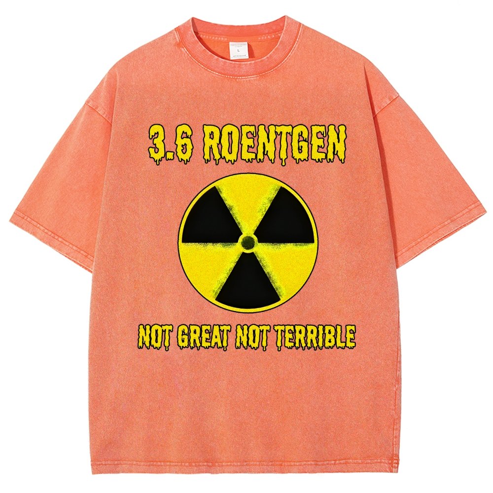 3.6 Roentgen Not Great Not Terrible Vintage Distressed T-shirt
