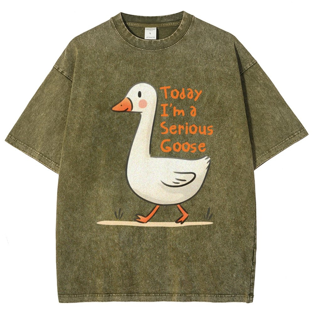 Today I’m A Serious Goose Vintage Distressed T-shirt