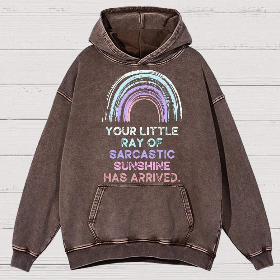 Your Little Ray of Sarcastic Sunshine Has Arrived Vintage Distressed Hoodie