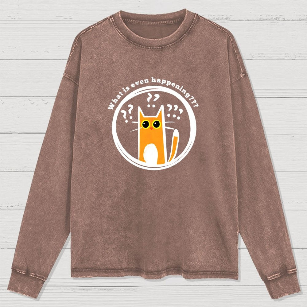 What Is Even Happening Washed Long Sleeve Tee
