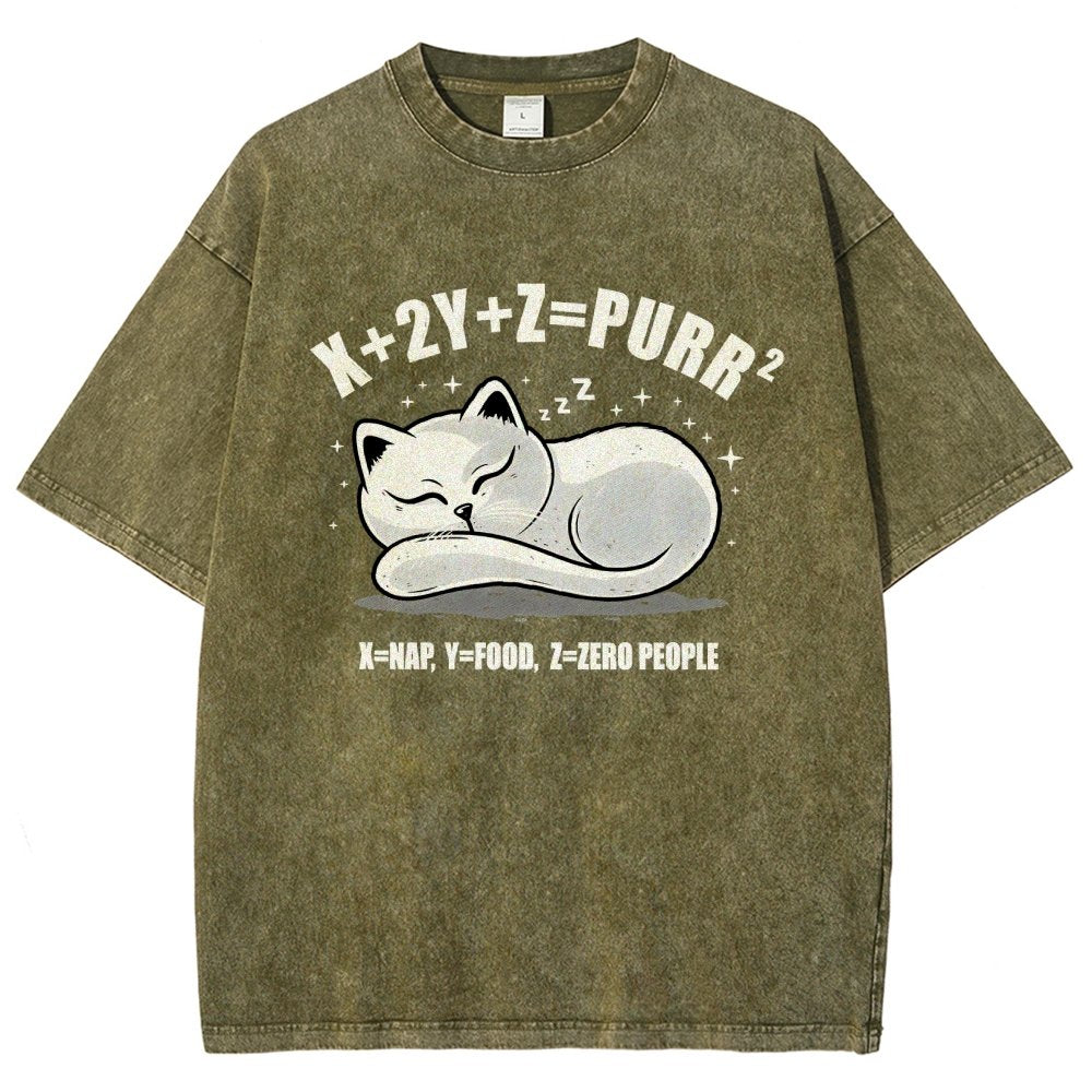 Purrfect Equation Vintage Distressed T-shirt