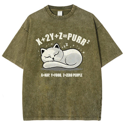 Purrfect Equation Vintage Distressed T-shirt