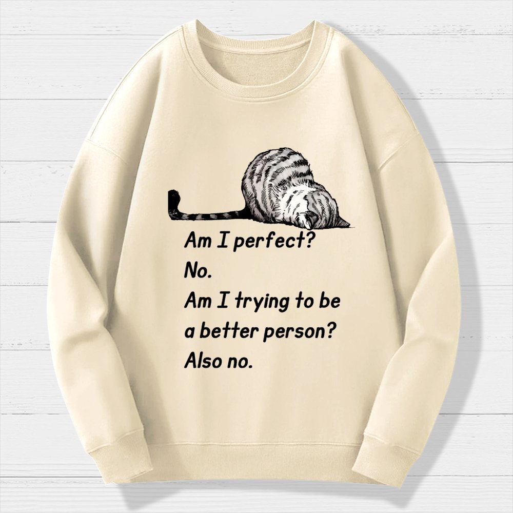 Am I Perfect No Geek Cotton Sweatshirt