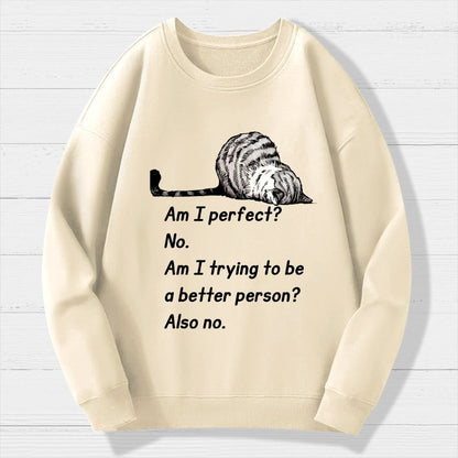 Am I Perfect No Geek Cotton Sweatshirt