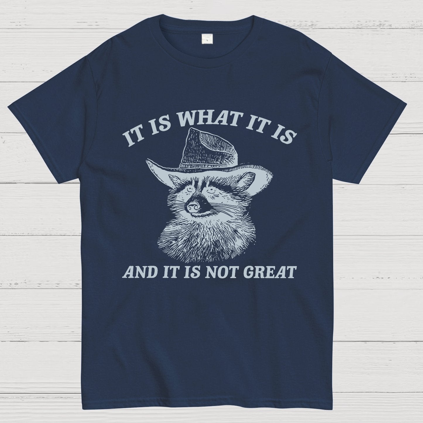 t Is What It Is And It Is Not Great Vintage Raccoon Geeky T-Shirt